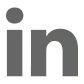 LinkedIn social media icon